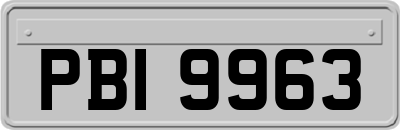 PBI9963