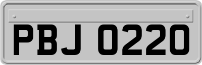 PBJ0220