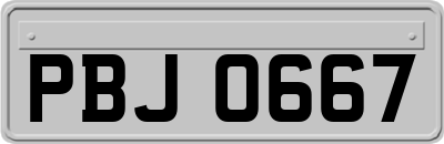 PBJ0667