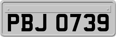 PBJ0739