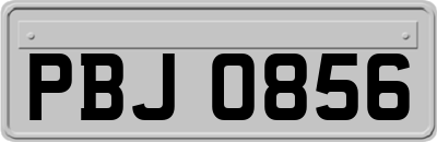 PBJ0856