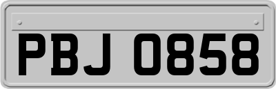 PBJ0858