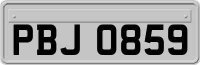 PBJ0859