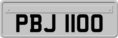 PBJ1100