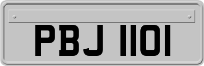 PBJ1101