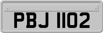 PBJ1102