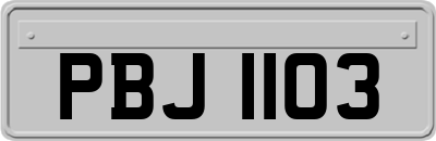 PBJ1103