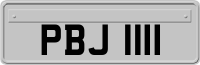 PBJ1111