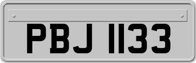 PBJ1133