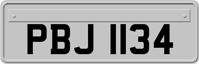 PBJ1134