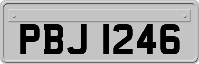 PBJ1246