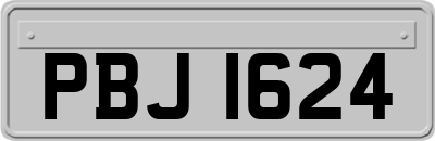 PBJ1624