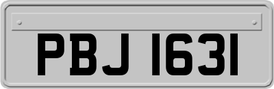 PBJ1631