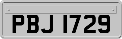 PBJ1729