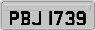 PBJ1739