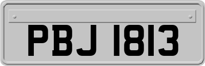 PBJ1813