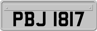 PBJ1817