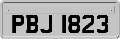 PBJ1823