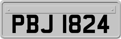 PBJ1824