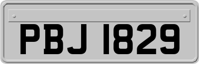 PBJ1829