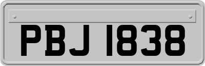 PBJ1838