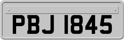 PBJ1845