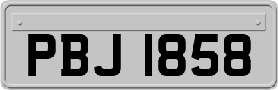 PBJ1858