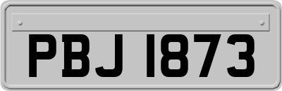 PBJ1873