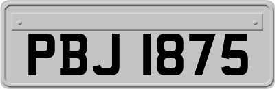 PBJ1875