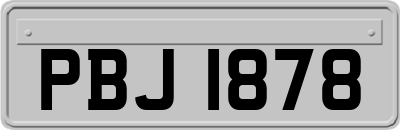 PBJ1878