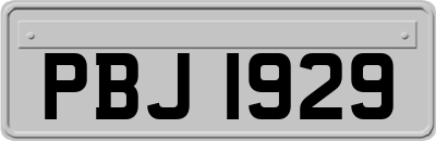 PBJ1929