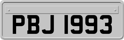 PBJ1993