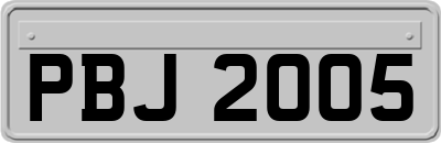 PBJ2005