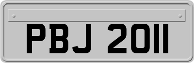 PBJ2011