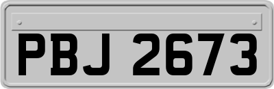 PBJ2673