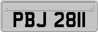 PBJ2811