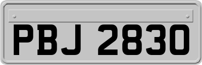 PBJ2830