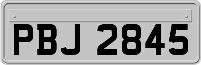 PBJ2845