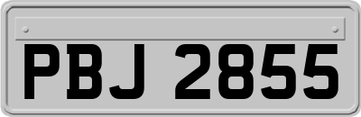 PBJ2855