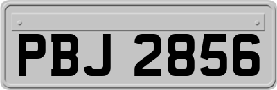 PBJ2856