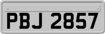 PBJ2857