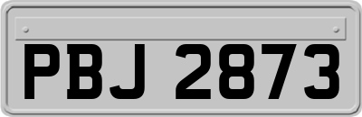 PBJ2873