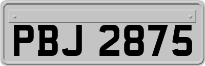 PBJ2875