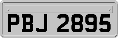 PBJ2895