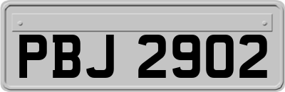 PBJ2902