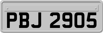 PBJ2905