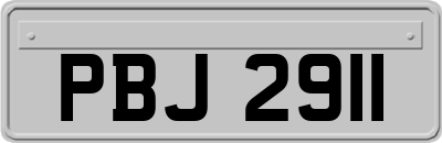 PBJ2911