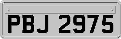 PBJ2975