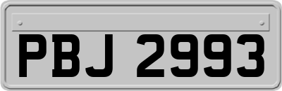 PBJ2993