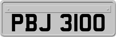 PBJ3100